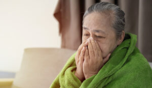 Senior Home Care Olathe KS - Tips For Seniors To Stay Healthy This Winter